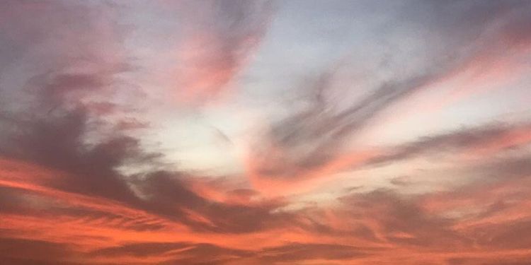 Les voix de la paix — affiche