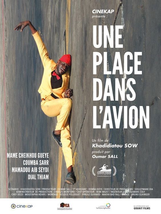 Une place dans l'avion — affiche